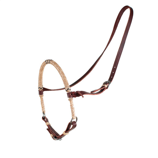 Teskey's Rawhide Noseband Cavesson Tack - Nosebands & Tie Downs Teskey's