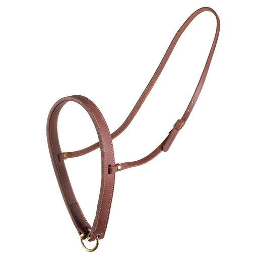 Teskey's Leather Noseband Tack - Nosebands & Tie Downs Teskey's Heavy Oil