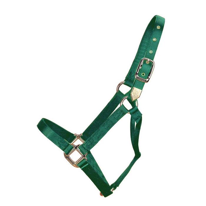 Hamilton 1" Deluxe Nylon Halter - Horse Sizes Tack - Halters & Leads Hamilton