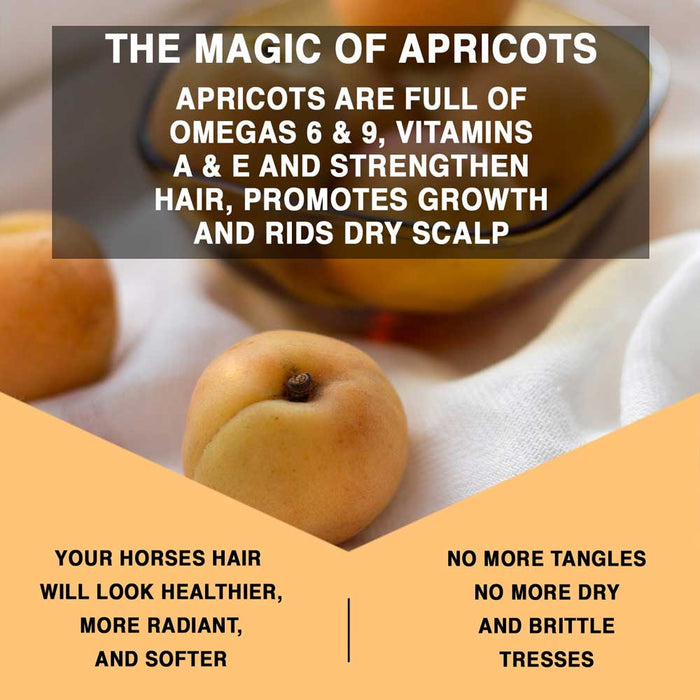 Knotty Horse Apricot Oil Detangler Equine - Grooming Knotty Horse   
