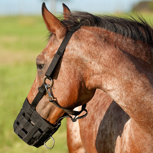 Cashel Grazing Muzzle Halter Tack - Halters & Leads Cashel