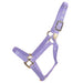 Hamilton 1" Deluxe Nylon Halter - Horse Sizes Tack - Halters & Leads Hamilton