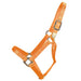 Hamilton 1" Deluxe Nylon Halter - Horse Sizes Tack - Halters & Leads Hamilton Mango Foal
