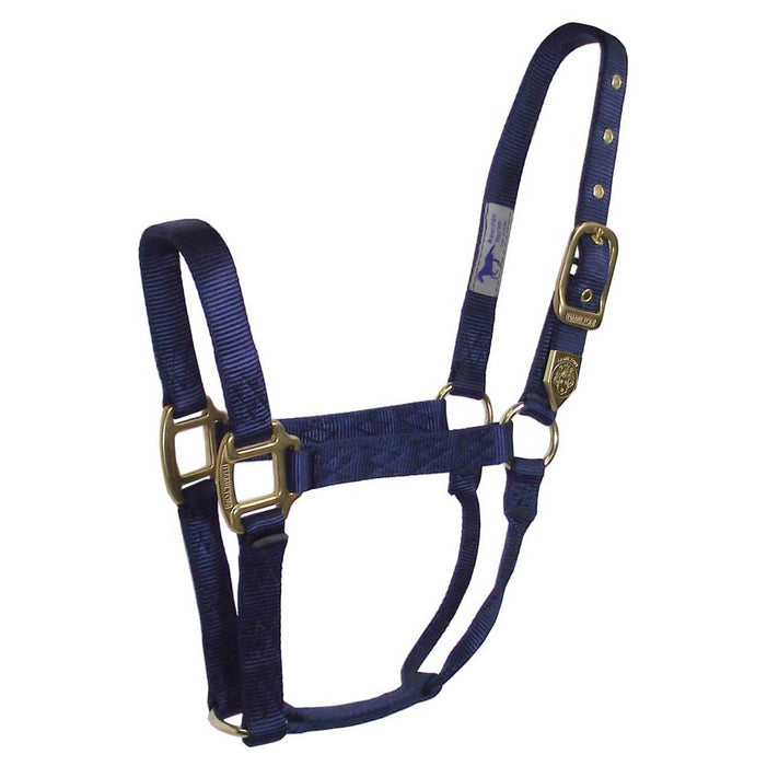Hamilton 1" Deluxe Nylon Halter - Horse Sizes Tack - Halters & Leads Hamilton Navy Foal