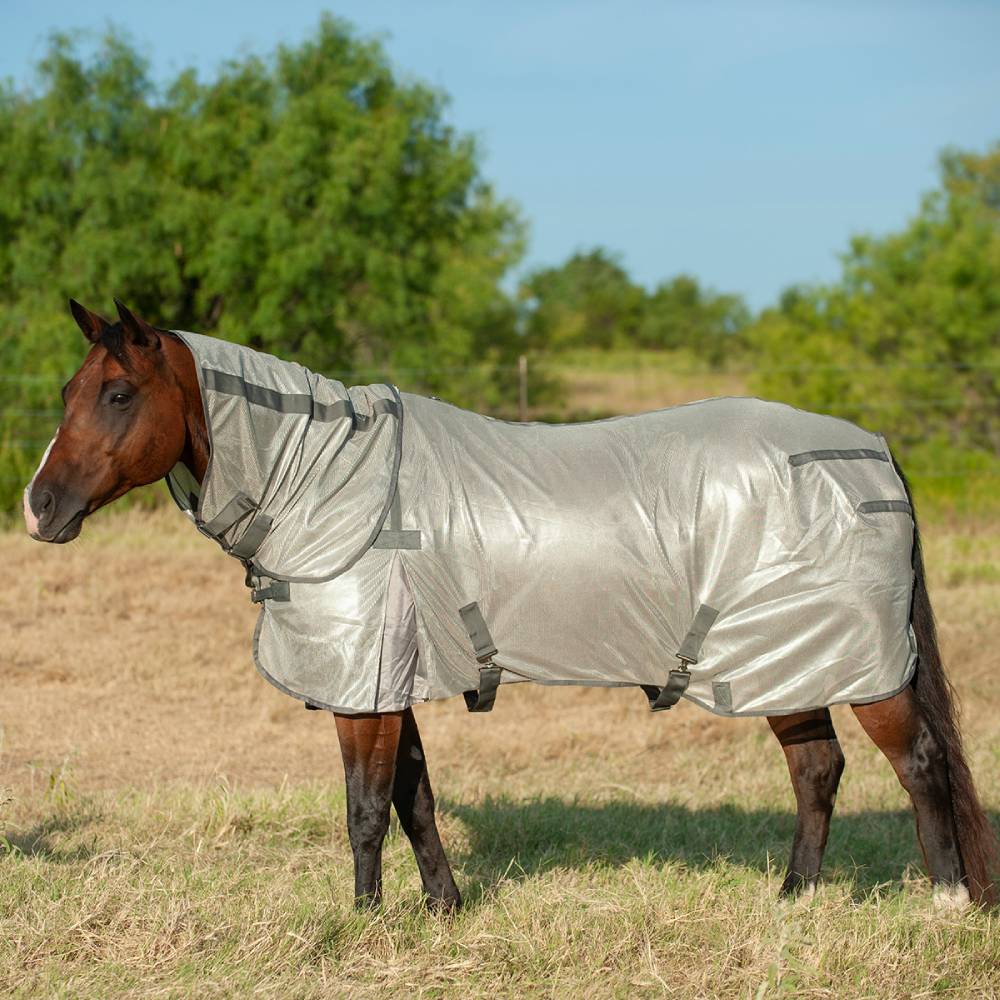 Cashel Econo Fly Sheet With Neck Guard FARM & RANCH - Animal Care - Equine - Fly & Insect Control - Fly Masks & Sheets Cashel   