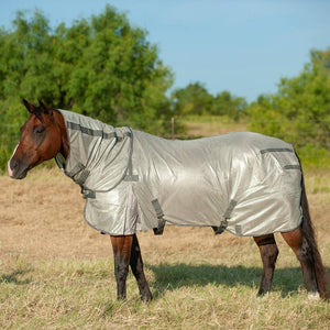 Cashel Econo Fly Sheet With Neck Guard Equine - Fly & Insect Control Cashel   