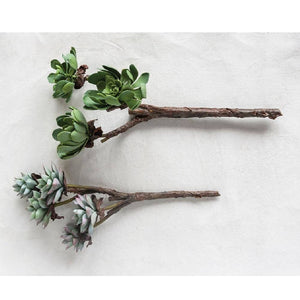 Faux Succulent Branch HOME & GIFTS - Home Decor - Faux Flowers + Plants Creative Co-Op   