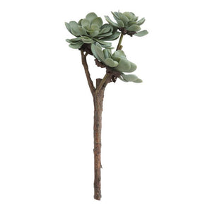 Faux Succulent Branch HOME & GIFTS - Home Decor - Faux Flowers + Plants Creative Co-Op B  