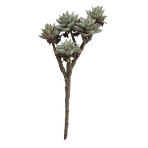 Faux Succulent Branch HOME & GIFTS - Home Decor - Faux Flowers + Plants Creative Co-Op A  