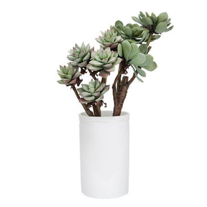 Faux Succulent Branch HOME & GIFTS - Home Decor - Decorative Accents Creative Co-Op   