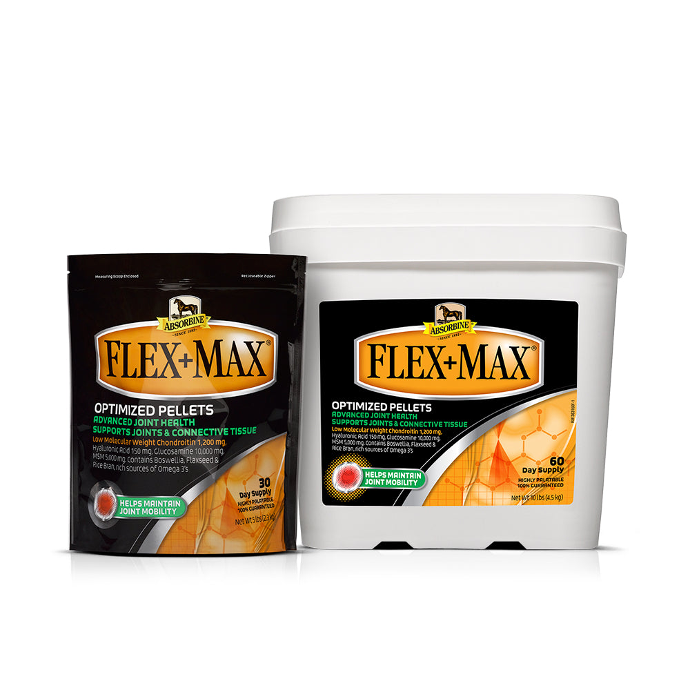 Absorbine Flex + Max Equine - Supplements Absorbine   