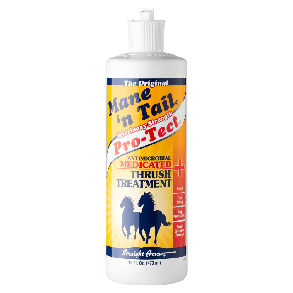 Pro-Tect Thrush Farrier & Hoof Care - Topicals/Treatments Mane N Tail   