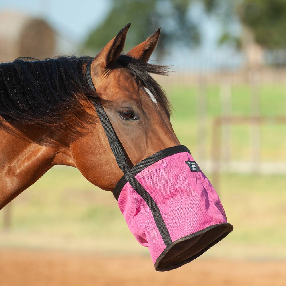 Cashel Feed Rite Bag Barn Supplies - Feed Bags & Feeders Cashel Pink Horse 