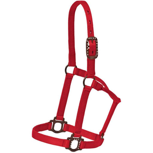 Antique Dot Halter Tack - Halters & Leads Mustang Red