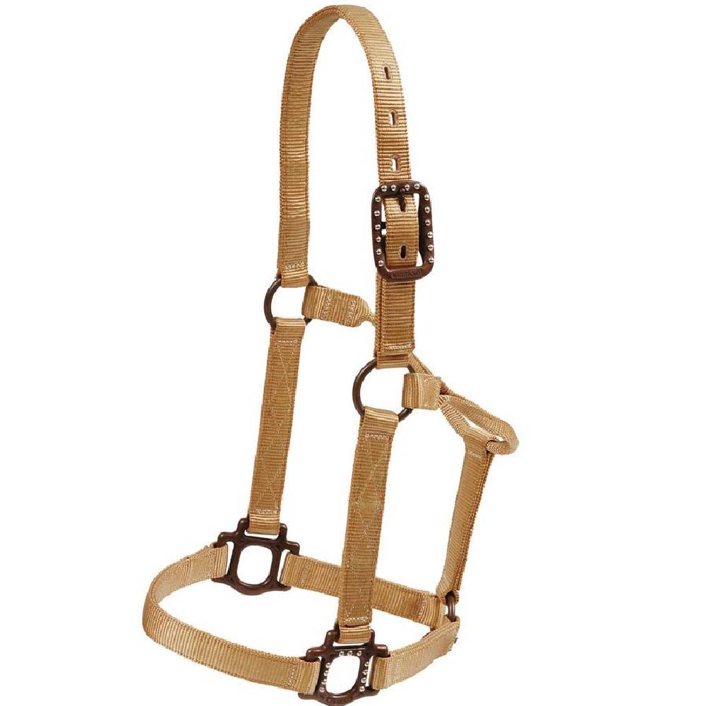 Mustang Antique Dot Halter + Lead