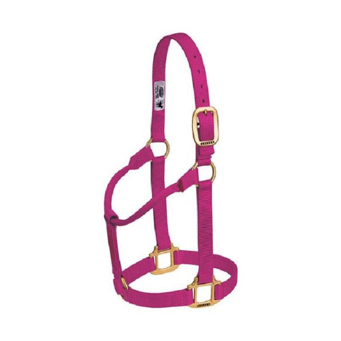 Weaver 1" Nylon Halter Tack - Halters & Leads Weaver Raspberry Cob/Small Horse