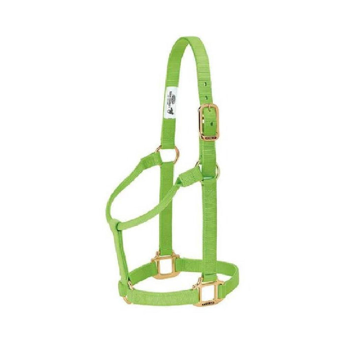 Weaver 1" Nylon Halter Tack - Halters & Leads Weaver Lime Cob/Small Horse