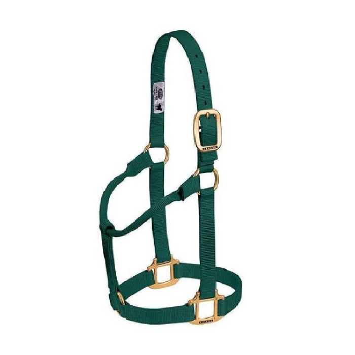 Weaver 1" Nylon Halter Tack - Halters & Leads Weaver Hunter Cob/Small Horse