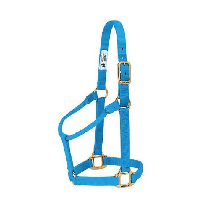 Weaver 1" Nylon Halter Tack - Halters & Leads Weaver Hurricane Blue Cob/Small Horse