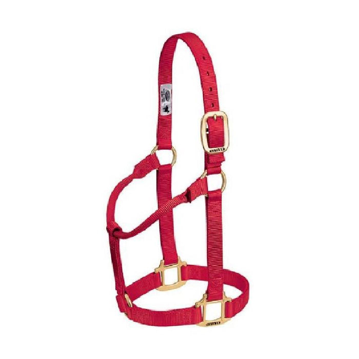 Weaver 1" Nylon Halter Tack - Halters & Leads Weaver Red Cob/Small Horse