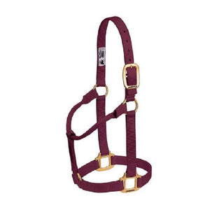 Weaver 1" Nylon Halter Tack - Halters Weaver Burgundy Cob/Small Horse 