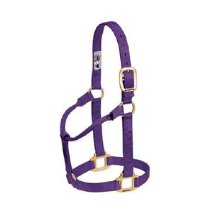 Weaver 1" Nylon Halter Tack - Halters Weaver Purple Cob/Small Horse 