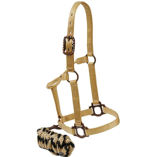 Antique Dot Halter with Lead Tack - Halters & Leads Mustang Tan