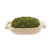 Mud Pie Preserved Moss Handle Pot HOME & GIFTS - Home Decor - Decorative Accents Mud Pie   