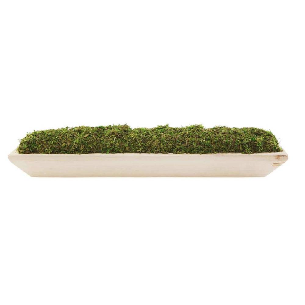 Preserved Moss Paulownia Tray HOME & GIFTS - Home Decor - Decorative Accents Mud Pie   