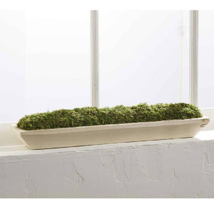 Preserved Moss Paulownia Tray HOME & GIFTS - Home Decor - Decorative Accents Mud Pie   