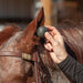 Classic Equine Ear Plugs Equine - Training & Behavior Classic Equine   