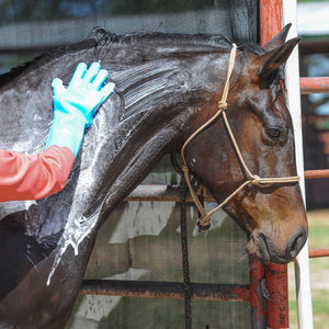 Classic Equine Wash Gloves FARM & RANCH - Animal Care - Equine - Grooming Classic Equine   