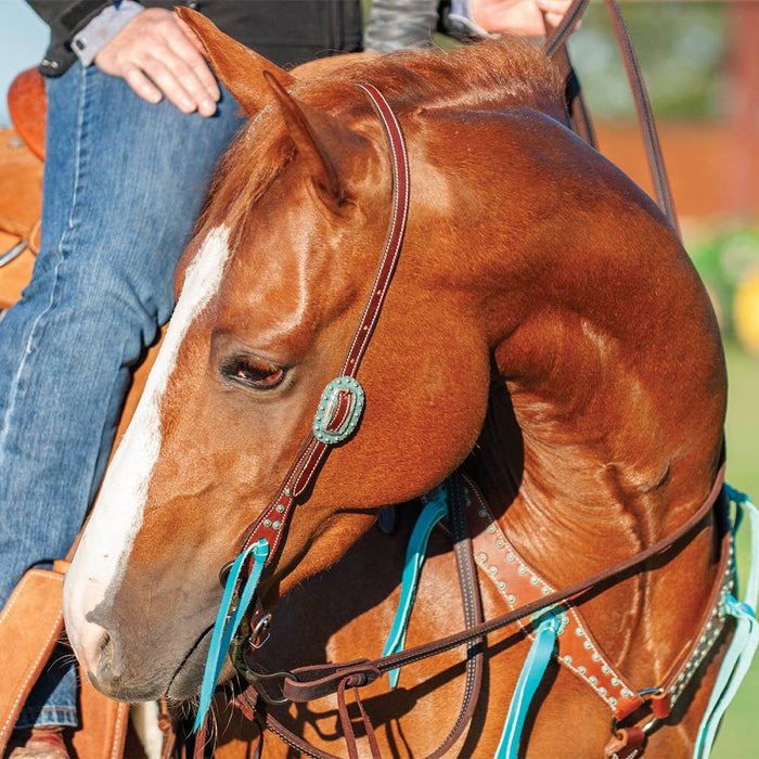 Martin Saddlery Antiqued Dots One Ear Headstall Tack - Headstalls Martin Saddlery   