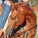 Martin Saddlery Antiqued Dots One Ear Headstall Tack - Headstalls Martin Saddlery   