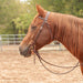 Martin Saddlery 5/8" Doubled & Stitched One Ear Headstall Tack - Headstalls Martin Saddlery   