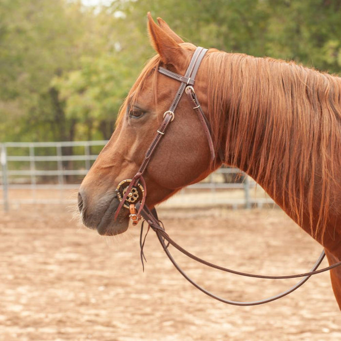 Martin Saddlery 5/8" Doubled & Stitched Browband Headstall Tack - Headstalls Martin Saddlery   