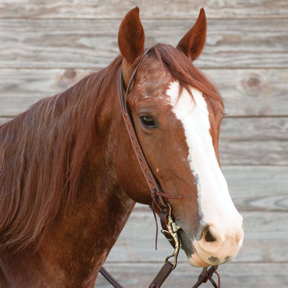 Martin Saddlery Weathered Antique Ranahan Split Ear Headstall - Teskeys