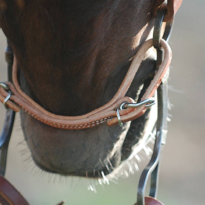 Martin Saddlery Harness Leather Curb Strap Tack - Curbs Martin Saddlery   