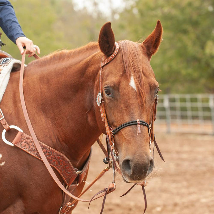Martin Saddlery Harness Leather Roping Rein With Water Loops Tack - Reins Martin Saddlery   
