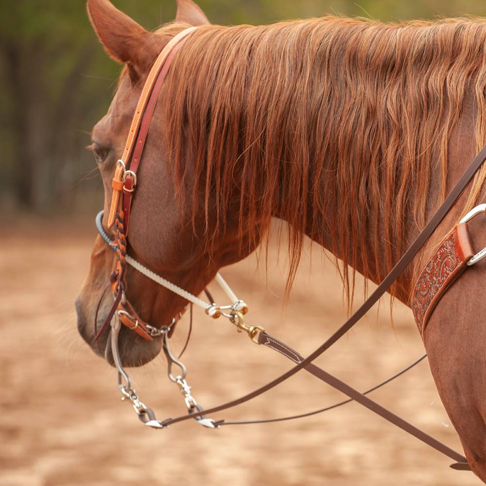 Martin Roping Reins Martin Saddlery 5/8