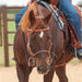 Martin Saddlery Adjustable Cavesson Tack - Nosebands & Tie Downs Martin Saddlery