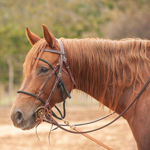 Martin Saddlery Bonnet Tack - Training Martin Saddlery