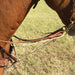 Martin Saddlery Phil Haugen Martingale Tack - Training Martin Saddlery   