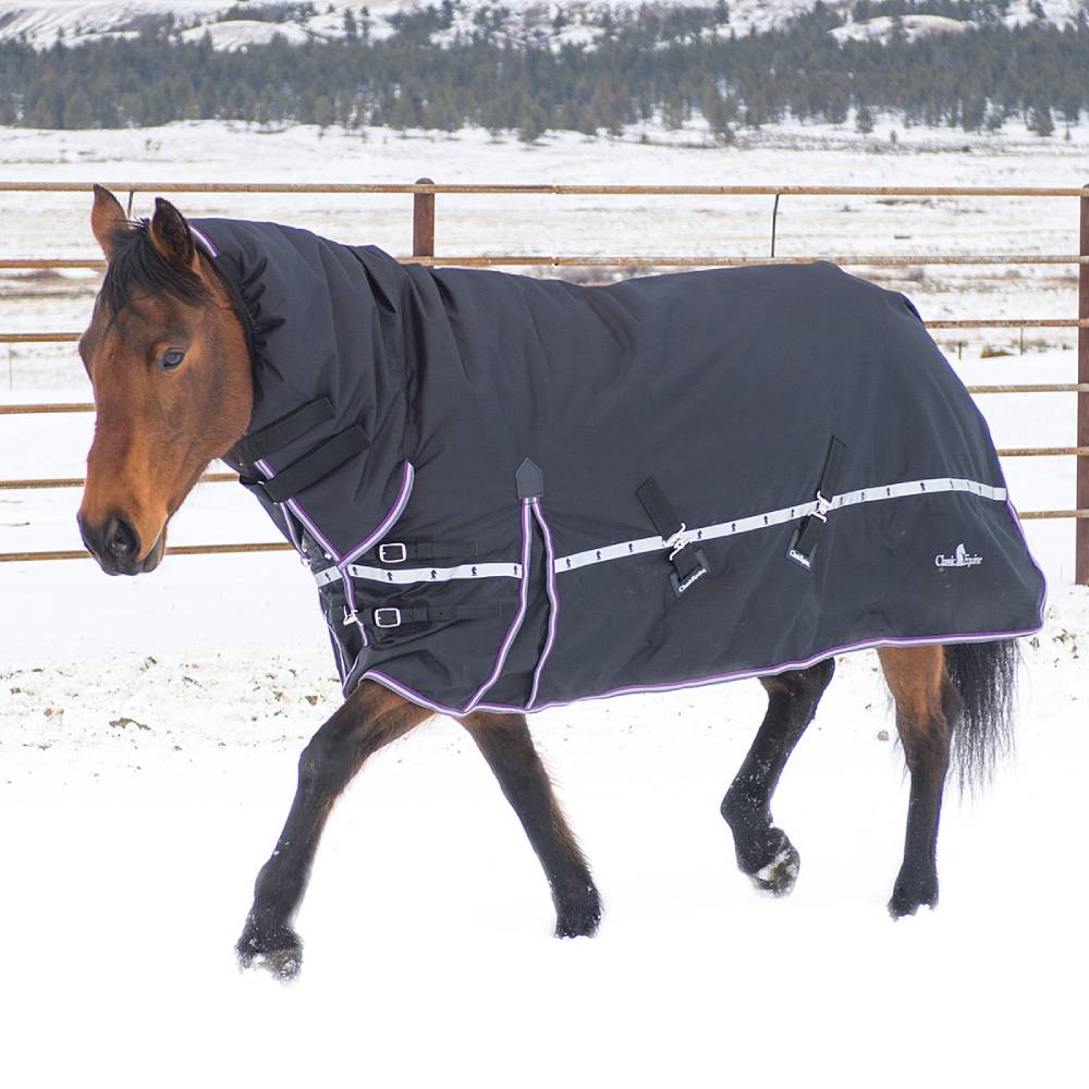 Classic Equine 10K Cross Trainer Hooded Winter Blanket Tack - Blankets & Sheets Classic Equine   