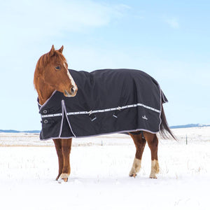 Classic Equine 10K Cross Trainer Winter Blanket Tack - Blankets & Sheets Classic Equine   