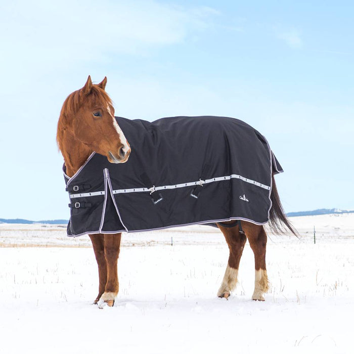 Classic Equine 10K Cross Trainer Winter Blanket Equine - Blankets & Sheets Classic Equine   