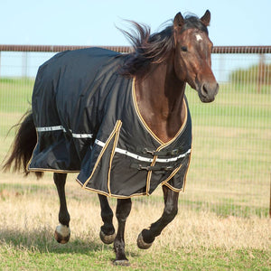 Classic Equine 5K Cross Trainer Winter Blanket Tack - Blankets & Sheets Classic Equine   