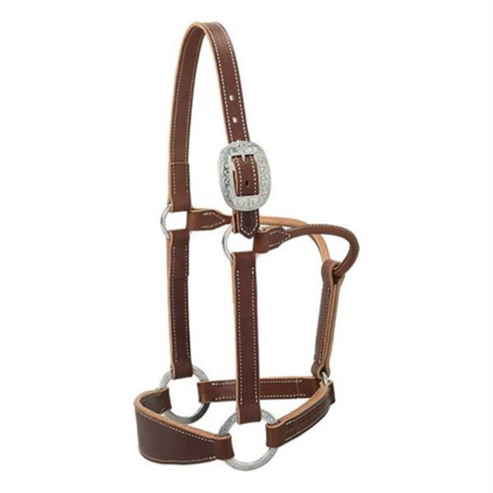 Stacy Westfall Bronc Halter by Weaver Tack - Halters & Leads Weaver