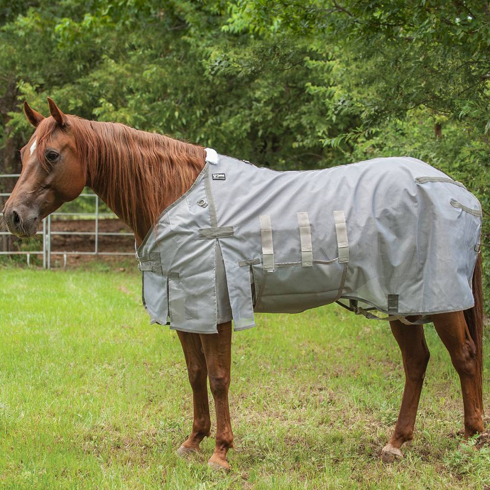  Cashel Fly Sheet Belly Guard, Large : Pet Supplies