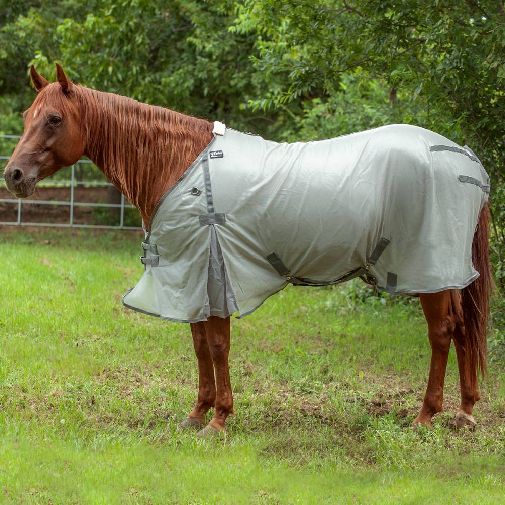 Cashel Econo Fly Sheet Equine - Fly & Insect Control Cashel   